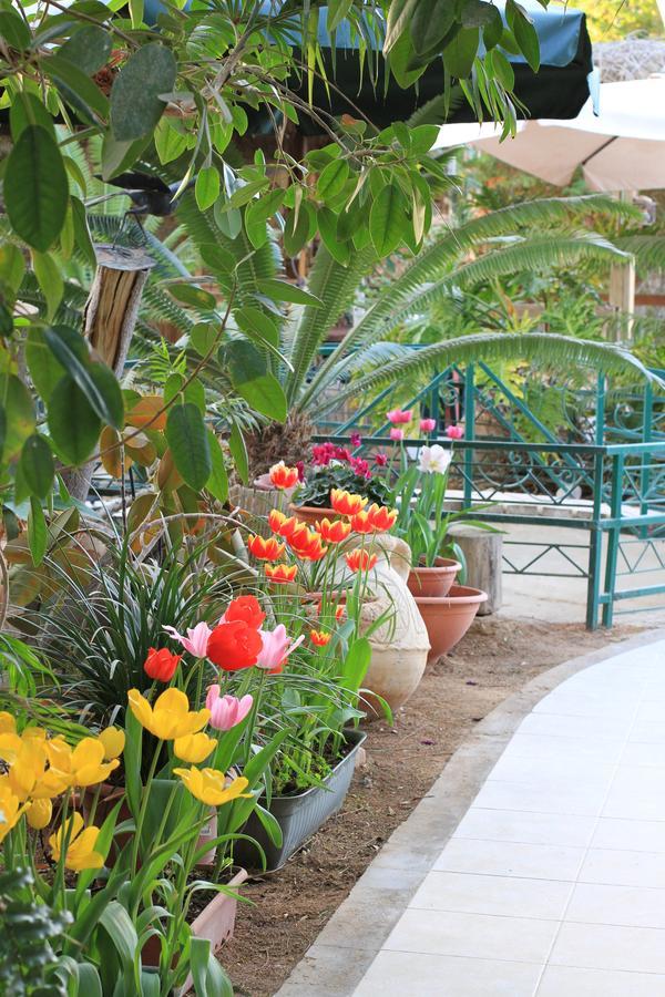 Idan Lodge In The Arava Paran Екстериор снимка