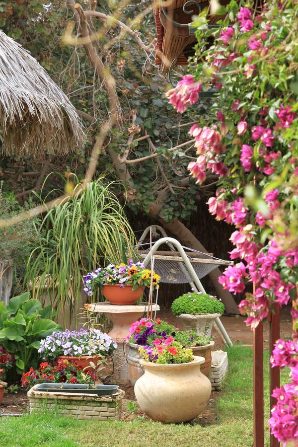 Idan Lodge In The Arava Paran Екстериор снимка